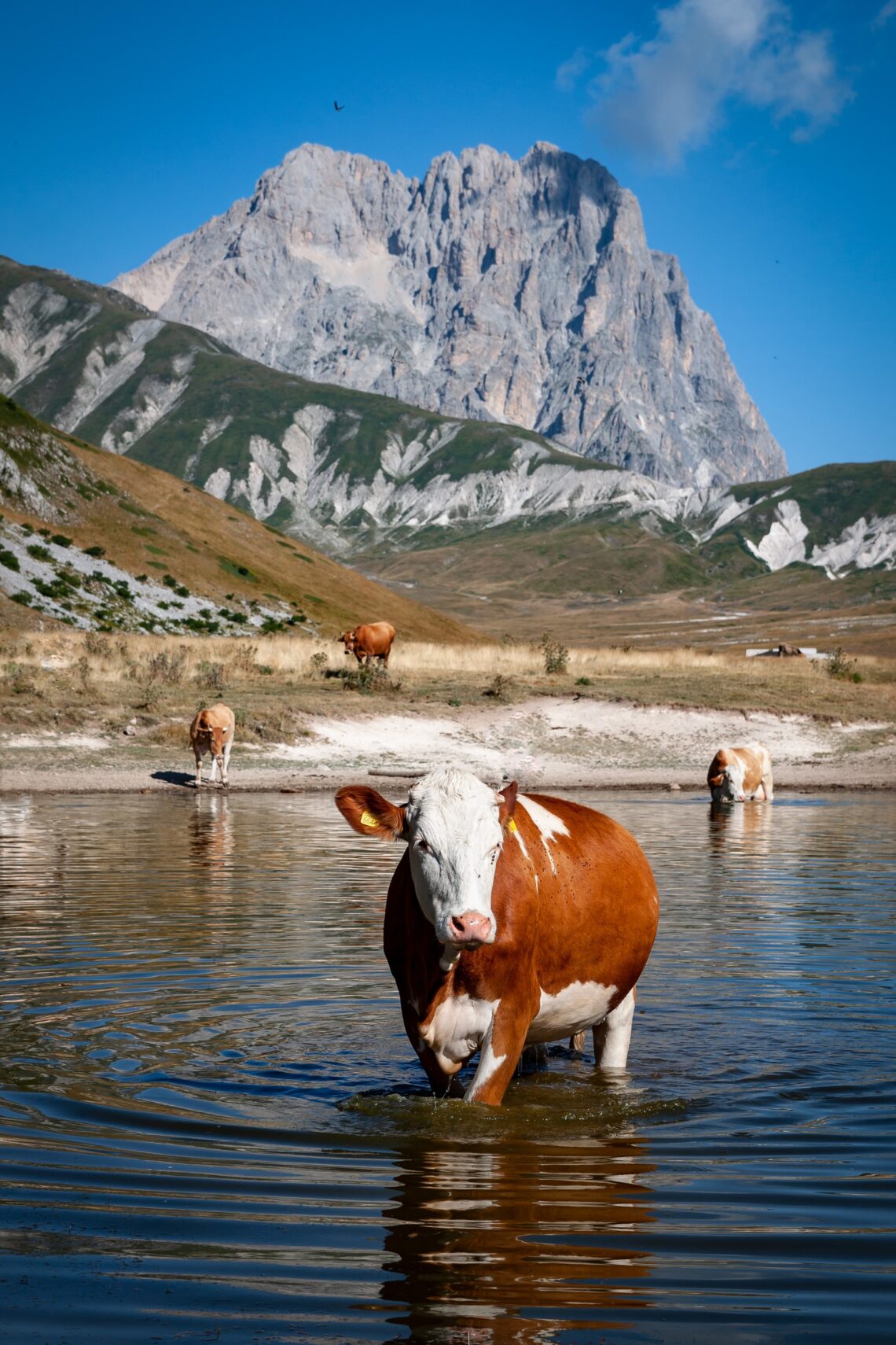Campo Imperatore
