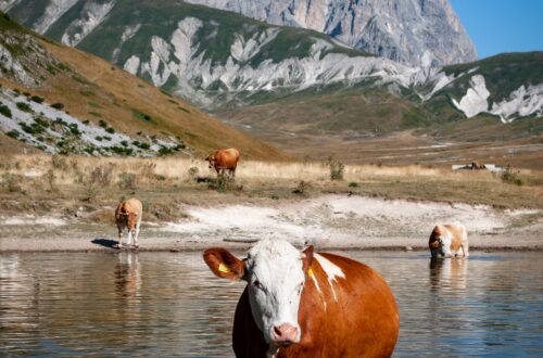 Campo Imperatore