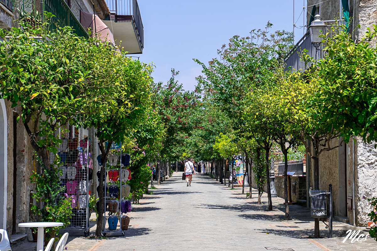 Santa Maria di Castellabate ed il Cilento