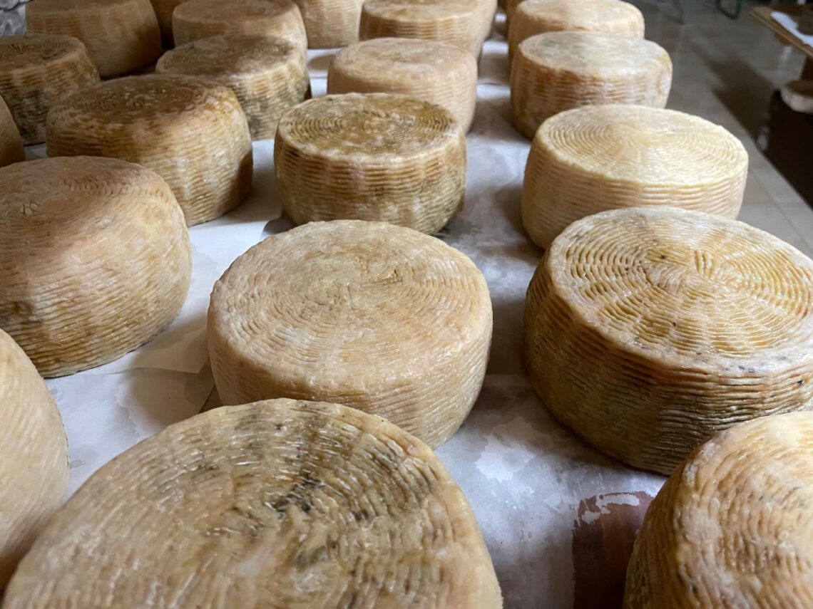 Pecorino di Farindola