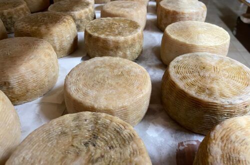 Pecorino di Farindola