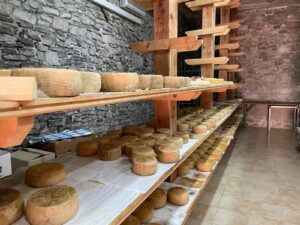 La Casèra dove stagiona il Pecorino di Farindola